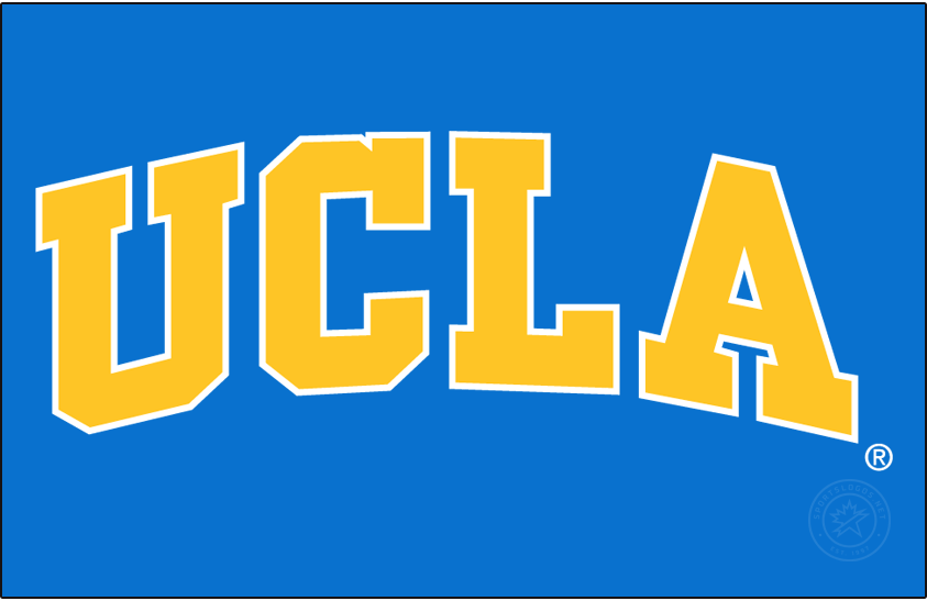 UCLA Bruins 1996-2017 Wordmark Logo v3 iron on transfers for T-shirts